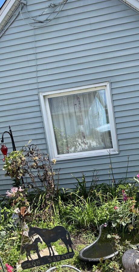 Soft wash on blue vinyl siding, with the garden protected, after