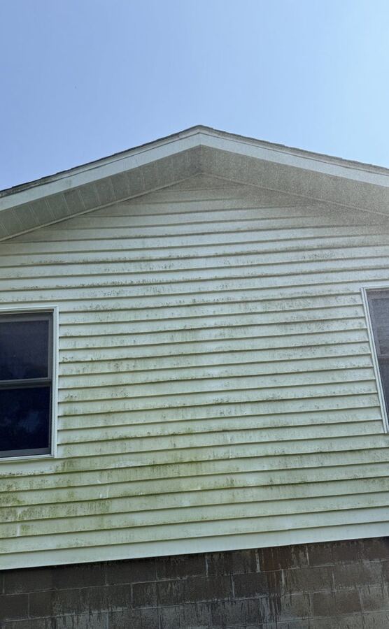 Vinyl siding soft wash: green algae removed, before