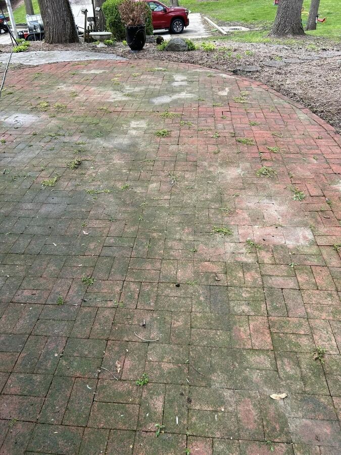 Brick paver patio: weeds, moss and stains cleared, before