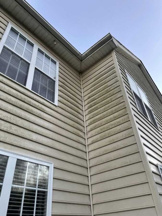 Green algae on a two-story corner, washed, before
