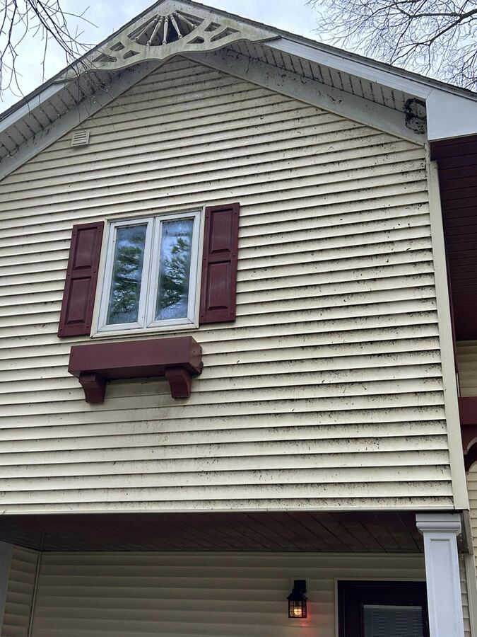 Vinyl gable with black mildew, washed, before